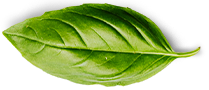 basil-leaf.png